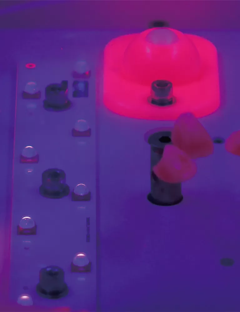 Eleva le tue stampe 3D con soluzioni Post-elaborazione professionali RAYSHAPE