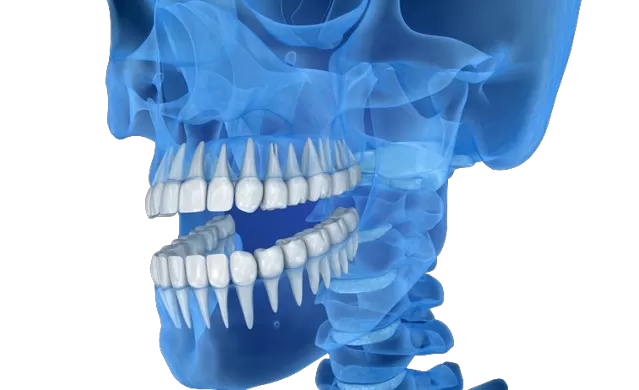 Trasforma la precisione dentale con le stampanti 3D RAYSHAPE